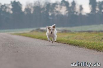 Sprinten