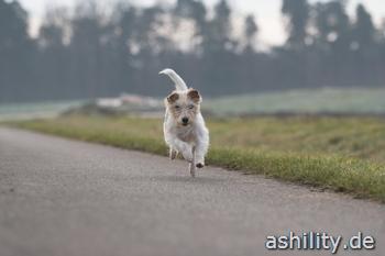 Sprinten
