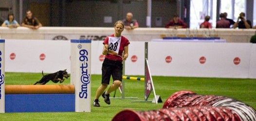 Agility WM 09 - Fotos - Samstag (1/2)