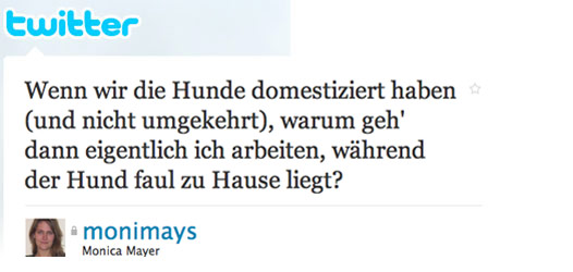 Tweet des Tages