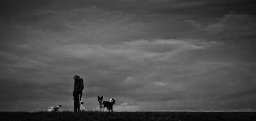 Neu im Fotoblog: Gray Day