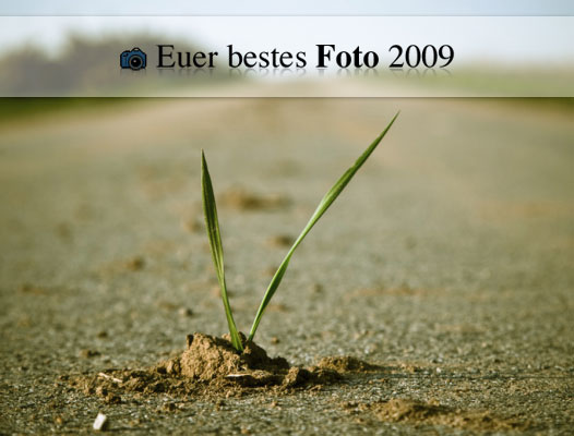 Mein bestes Foto 2009 / Blogparade