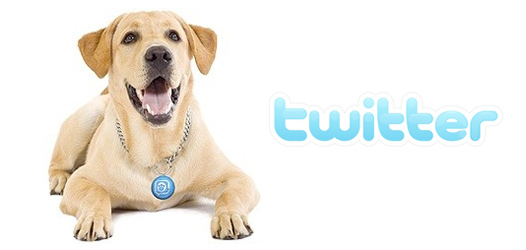 Hunde können jetzt auch twittern