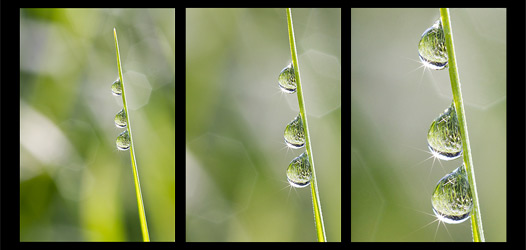 Drei Tropfen Triptychon