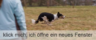 zur Hüte Seminar Slideshow