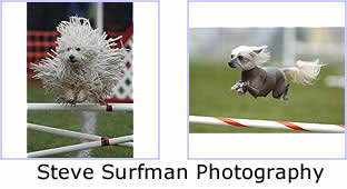 Steve Surfman Photography