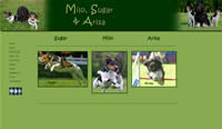 zur Homepage von Milo, Sugar und Arisa