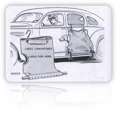 Dog Car Sack