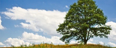 blau-grün