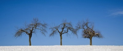 Die Drei - Winter - Sonn