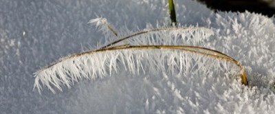 Frostig 2