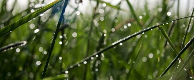 nach dem Regen